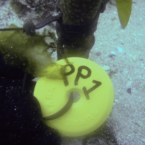 Survey Point